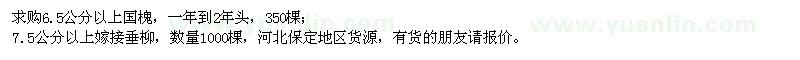 求购6.5公分以上国槐、7.5公分以上嫁接垂柳