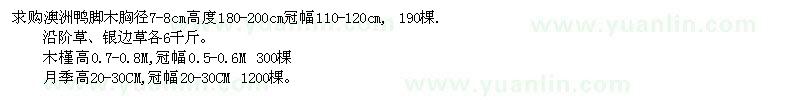 求购澳洲鸭脚木、沿阶草、银边草月季