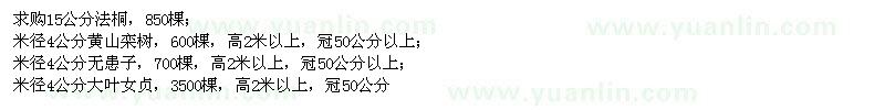 求购法桐、黄山栾树、无患子