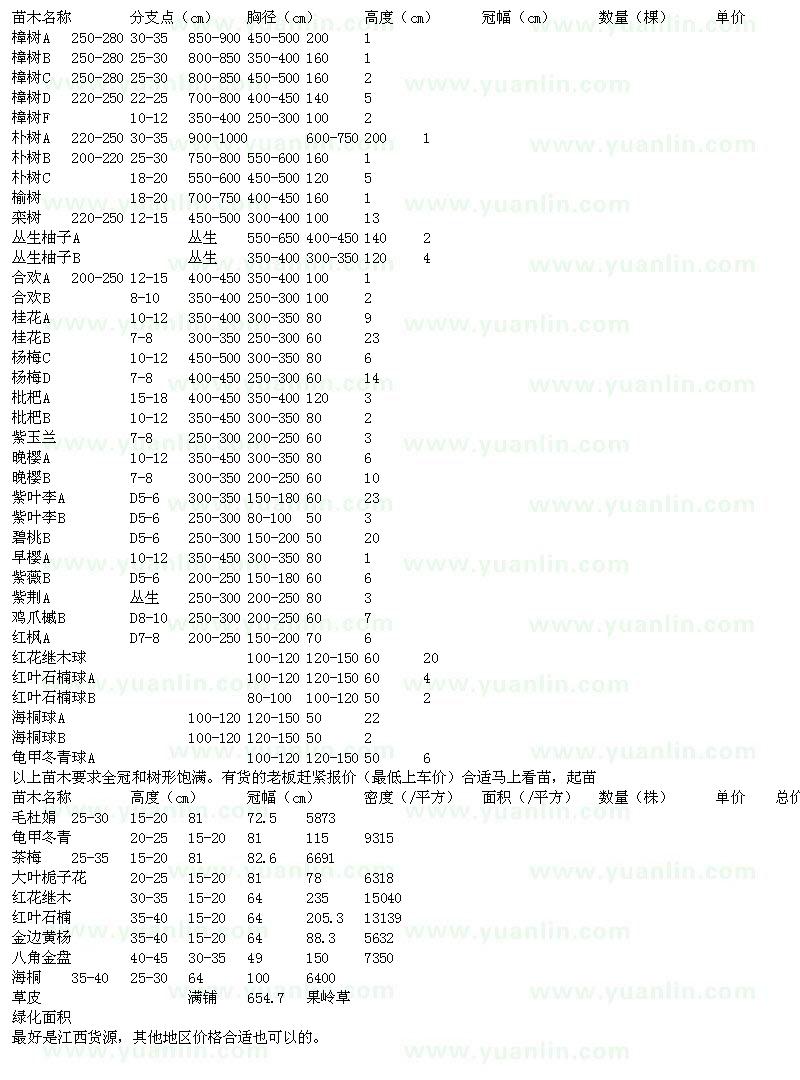 求购樟树、朴树、榆树等绿化苗木