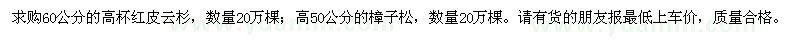 求购60公分高杯红皮云杉、高50公分樟子松