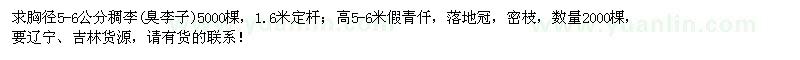 求购胸径5-6公分稠李(臭李子)、高5-6米假青仟