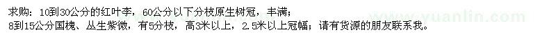 求购红叶李、国槐、丛生紫微