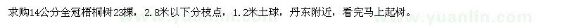 求购14公分全冠梧桐树