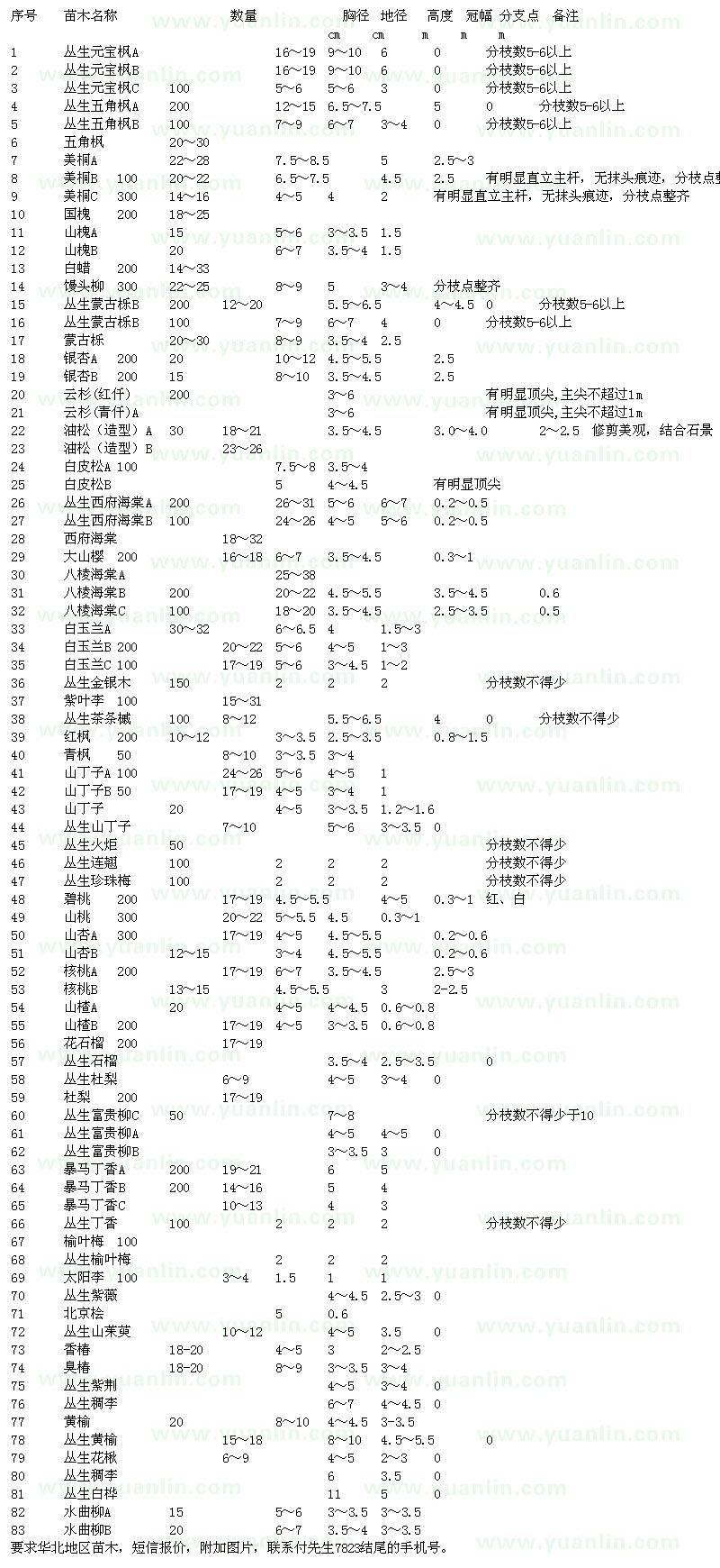 求购丛生元宝枫、丛生五角枫、国槐