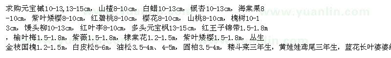 求购元宝槭、山楂、白蜡、银杏、紫叶矮樱等