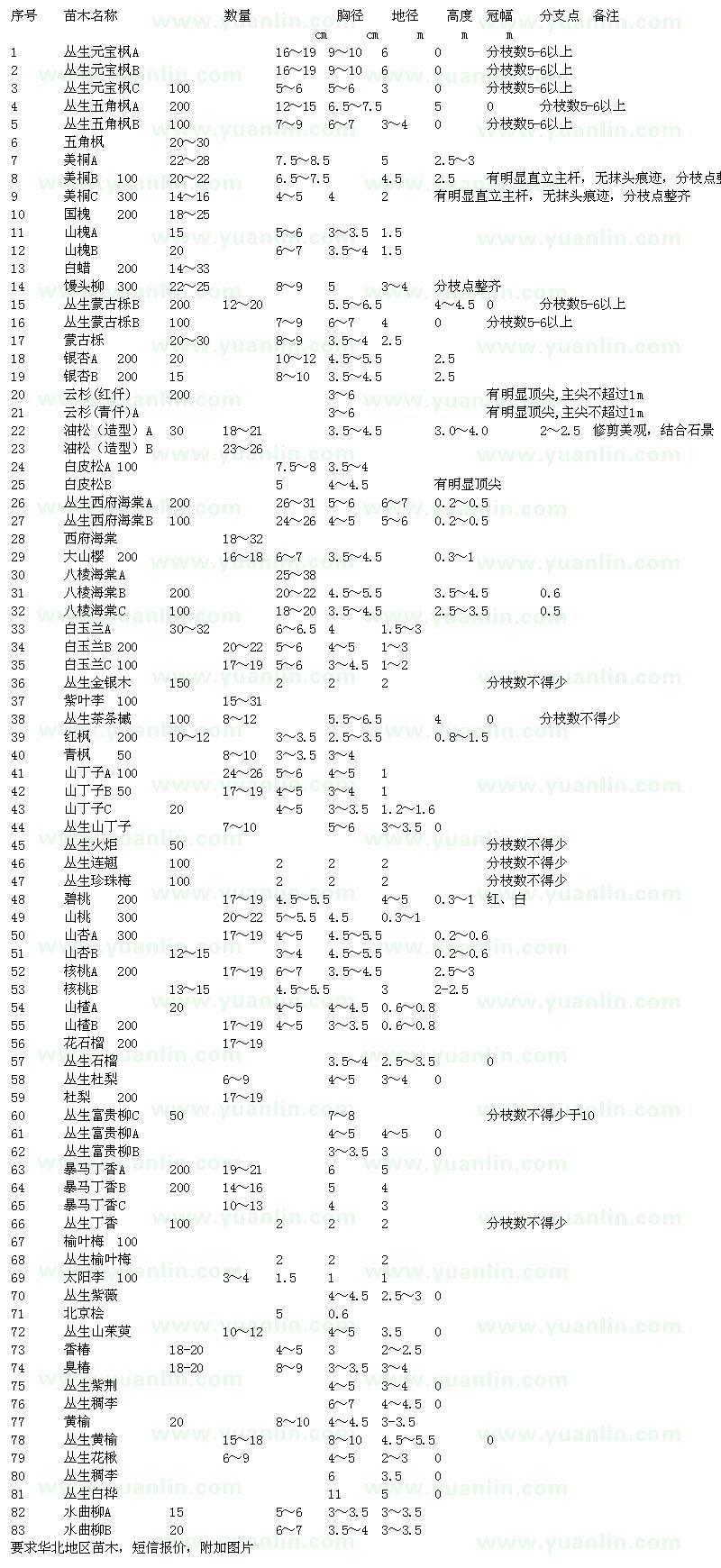 求购丛生五角枫、国槐、白蜡