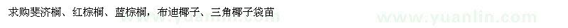 求购斐济榈、红棕榈、蓝棕榈