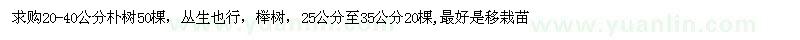 求购朴树、榉树