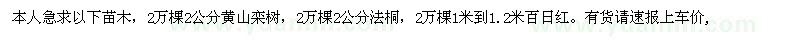 求购黄山栾树、法桐、百日红