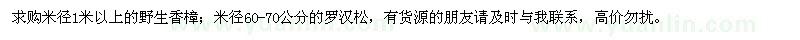 求购野生香樟、罗汉松