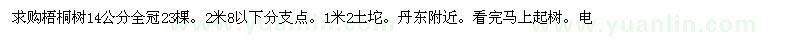 求购14公分全冠梧桐树