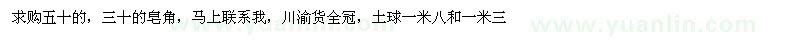 求购30、50公分皂角