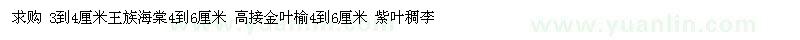 求购王族海棠、高接金叶榆、紫叶稠李