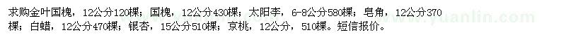 求购金叶国槐、国槐、太阳李