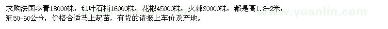 求购法国冬青、红叶石楠、花椒、火棘