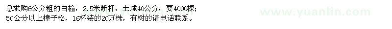 求购粗6公分白榆、50公分以上樟子松