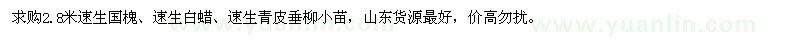 求购速生国槐、速生白蜡、速生青皮垂柳小苗