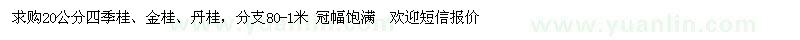 求购20公分四季桂、金桂、丹桂