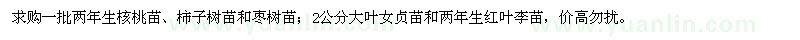 求购核桃苗、柿子树苗、枣树苗、大叶女贞苗、红叶李苗