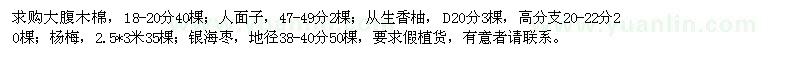 求购大腹木棉、人面子、从生香柚、杨梅、银海枣