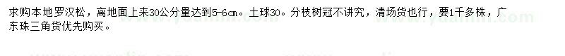 求购30公分5-6公分本地罗汉松