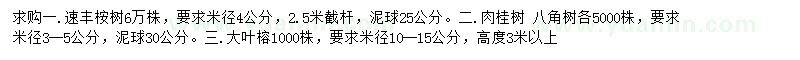 求购速丰桉树、肉桂树、大叶榕