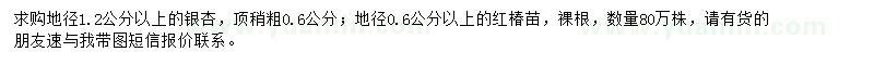 求购地径1.2公分以上银杏、0.6公分以上红椿苗