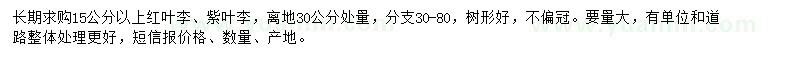 求购15公分以上红叶李、紫叶李