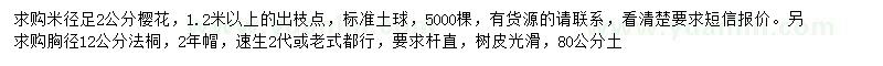 求购米径2公分樱花、胸径12公分法桐