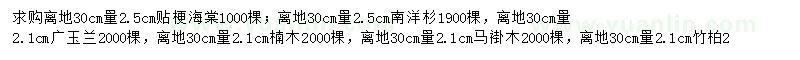 求购贴梗海棠、南洋杉、广玉兰等