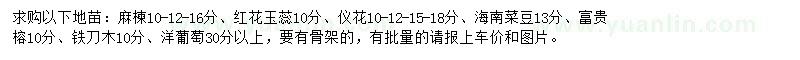 求购麻楝、红花玉蕊、仪花等