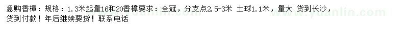 求购1.3米起量16、20公分香樟