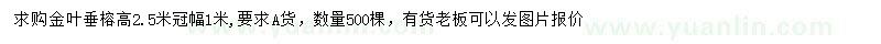 求购高2.5米金叶垂榕