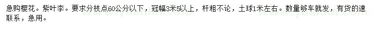 求购冠幅3.5米以上樱花、紫叶李