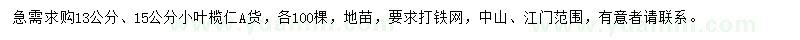 求购13、15公分小叶榄仁