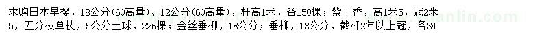 求购日本早樱、紫丁香、金丝垂柳等