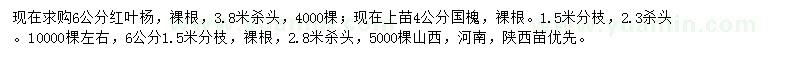 求购6公分红叶杨、4、6公分国槐