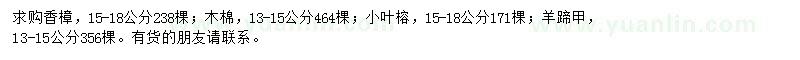 求购香樟、木棉、小叶榕等