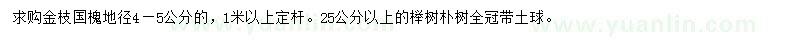 求购金枝国槐、榉树、朴树