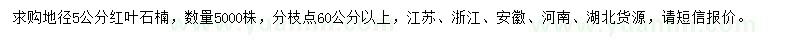 求购地径5公分红叶石楠