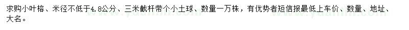 求购米径4.8公分以上小叶榕