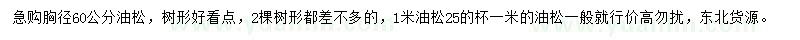 求购胸径60公分油松、高1米油松