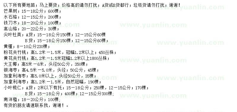求购芒果树、水石榕、铁刀木等