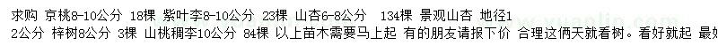 求购京桃、紫叶李、山杏等