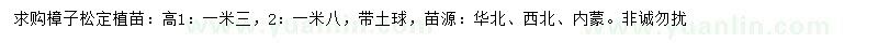 求购高1.3、1.8米樟子松圃苗