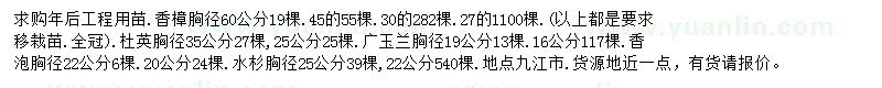 求购香樟、杜英、广玉兰等