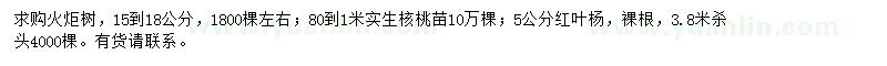 求购火炬树、核桃苗、红叶杨