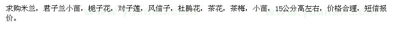 求购米兰、君子兰小苗、栀子花等