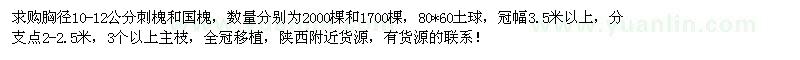 求购胸径10-12公分刺槐、国槐